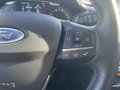 Daumennagel 23 - Ford Fiesta 1.0 EcoBoost Vignale PDC/Klima/SZH