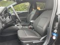 Daumennagel 12 - Ford Focus Turnier 2.0 EcoBlue ST-Line AHK/Navi/RFK