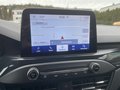 Daumennagel 19 - Ford Focus Turnier 2.0 EcoBlue ST-Line AHK/Navi/RFK
