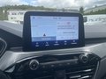 Daumennagel 18 - Ford Kuga 2.5 Duratec Plug-In Hybrid Titanium AHK/RFK