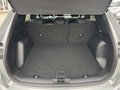 Daumennagel 7 - Ford Kuga 2.5 Duratec Plug-In Hybrid CVT Titanium