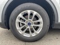 Daumennagel 10 - Ford Kuga 2.5 Duratec Plug-In Hybrid CVT Titanium