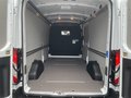Daumennagel 10 - Ford Transit Kasten 350 L3 Trend