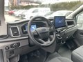 Daumennagel 11 - Ford Transit Kasten 350 L3 Trend