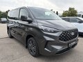 Daumennagel 4 - Ford Tourneo Custom 320 L1 2.0 EcoBlue Aut. Titanium