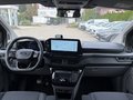 Daumennagel 15 - Ford Tourneo Custom 320 L1 2.0 EcoBlue Aut. Titanium