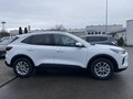 Daumennagel 5 - Ford Kuga 2.5 Duratec Plug-In Hybrid Titanium