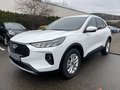 Daumennagel 2 - Ford Kuga 2.5 Duratec Plug-In Hybrid Titanium
