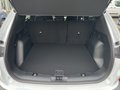 Daumennagel 8 - Ford Kuga 2.5 Duratec Plug-In Hybrid Titanium