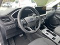 Daumennagel 11 - Ford Kuga 2.5 Duratec Plug-In Hybrid Titanium