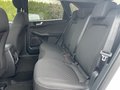 Daumennagel 13 - Ford Kuga 2.5 Duratec Plug-In Hybrid Titanium