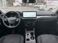 Daumennagel 14 - Ford Kuga 2.5 Duratec Plug-In Hybrid Titanium