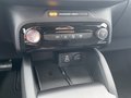 Daumennagel 20 - Ford Kuga 2.5 Duratec Plug-In Hybrid Titanium