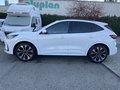 Daumennagel 11 - Ford Kuga 2.5 Duratec FHEV CVT ST-Line X 360°/BLIS/LED