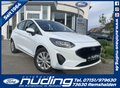 Daumennagel 1 - Ford Fiesta 1.1 Trend LED/Klima/DAB