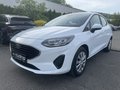 Daumennagel 7 - Ford Fiesta 1.1 Trend LED/Klima/DAB