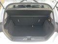 Daumennagel 11 - Ford Fiesta 1.1 Trend LED/Klima/DAB