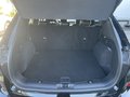 Daumennagel 7 - Ford Kuga 2.0 EcoBlue Aut. AWD ST-Line X ACC/HUD/BLIS