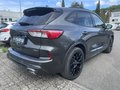 Daumennagel 5 - Ford Kuga 2.5 Duratec Plug-In Hybrid CVT ST-Line X