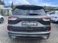 Daumennagel 6 - Ford Kuga 2.5 Duratec Plug-In Hybrid CVT ST-Line X