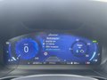 Daumennagel 16 - Ford Kuga 2.5 Duratec Plug-In Hybrid CVT ST-Line X