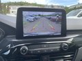 Daumennagel 18 - Ford Kuga 2.5 Duratec Plug-In Hybrid CVT ST-Line X
