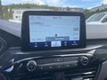 Daumennagel 19 - Ford Kuga 2.5 Duratec Plug-In Hybrid CVT ST-Line X