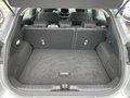 Daumennagel 8 - Ford Puma 1.0 EcoBoost Hybrid Titanium Navi/PDC/SZH