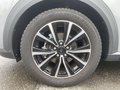 Daumennagel 11 - Ford Puma 1.0 EcoBoost Hybrid Titanium Navi/PDC/SZH