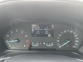 Daumennagel 17 - Ford Puma 1.0 EcoBoost Hybrid Titanium Navi/PDC/SZH