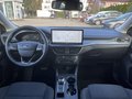 Daumennagel 14 - Ford Focus Turnier 1.5 EcoBlue Aut. Active ACC/BLIS