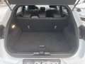 Daumennagel 8 - Ford Puma 1.0 EcoBoost Hybrid ST-Line Navi/RFK/LED