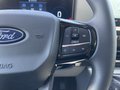Daumennagel 20 - Ford Transit Custom Kasten 320 L1 Trend FWD