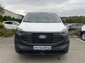 Daumennagel 3 - Ford Transit Custom Kasten 280 L1 FWD Basis