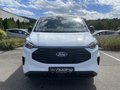 Daumennagel 3 - Ford Transit Custom Kasten 320 L2 Trend
