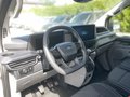 Daumennagel 11 - Ford Transit Custom Kasten 320 L2 Trend