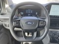 Daumennagel 14 - Ford Transit Custom Kasten 320 L2 Trend