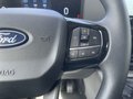 Daumennagel 21 - Ford Transit Custom Kasten 320 L2 Trend