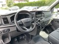 Daumennagel 12 - Ford Transit 350 L3H2 Kasten VA Trend