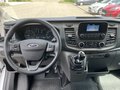 Daumennagel 14 - Ford Transit 350 L3H2 Kasten VA Trend