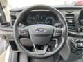 Daumennagel 15 - Ford Transit 350 L3H2 Kasten VA Trend