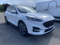 Daumennagel 4 - Ford Kuga 2.5 Duratec Plug-In Hybrid CVT ST-Line X