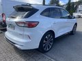 Daumennagel 5 - Ford Kuga 2.5 Duratec Plug-In Hybrid CVT ST-Line X