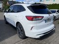 Daumennagel 9 - Ford Kuga 2.5 Duratec Plug-In Hybrid CVT ST-Line X