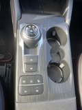 Daumennagel 21 - Ford Kuga 2.5 Duratec Plug-In Hybrid CVT ST-Line X