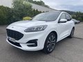 Daumennagel 2 - Ford Kuga 2.5 Duratec Plug-In Hybrid CVT ST-Line X
