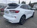 Daumennagel 6 - Ford Kuga 2.5 Duratec Plug-In Hybrid CVT ST-Line X