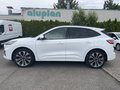Daumennagel 11 - Ford Kuga 2.5 Duratec Plug-In Hybrid CVT ST-Line X