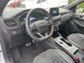 Daumennagel 13 - Ford Kuga 2.5 Duratec Plug-In Hybrid CVT ST-Line X