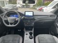 Daumennagel 16 - Ford Kuga 2.5 Duratec Plug-In Hybrid CVT ST-Line X